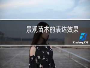 景观苗木的表达效果