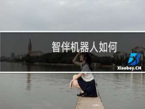 智伴机器人如何