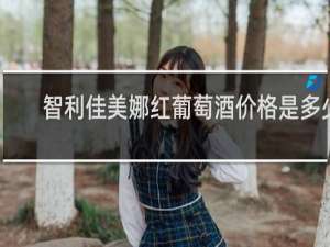 智利佳美娜红葡萄酒价格是多少