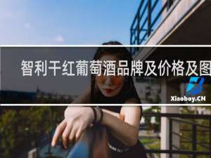 智利干红葡萄酒品牌及价格及图片