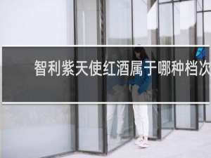 智利紫天使红酒属于哪种档次