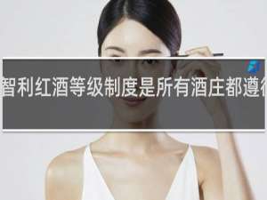 智利红酒等级制度是所有酒庄都遵循的吗