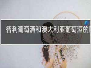 智利葡萄酒和澳大利亚葡萄酒的区别