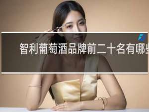 智利葡萄酒品牌前二十名有哪些