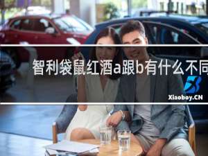 智利袋鼠红酒a跟b有什么不同