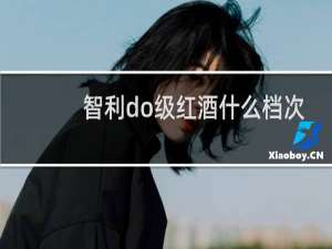 智利do级红酒什么档次