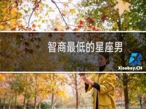 智商最低的星座男