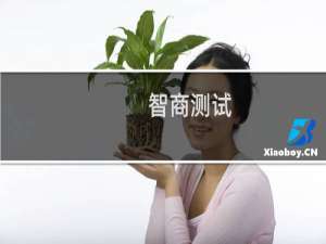 智商测试：测试你的智商有多高