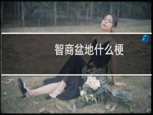 智商盆地什么梗