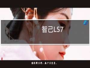 智己LS7(关于智己LS7的简介)