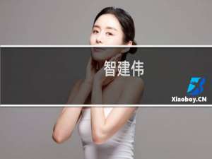 智建伟(关于智建伟的简介)