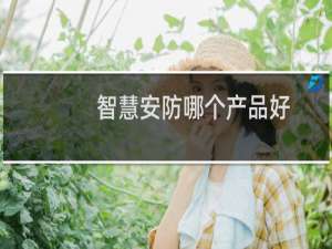 智慧安防哪个产品好