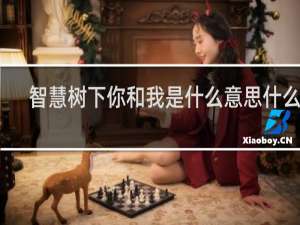 智慧树下你和我是什么意思什么梗