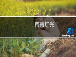 智慧灯光