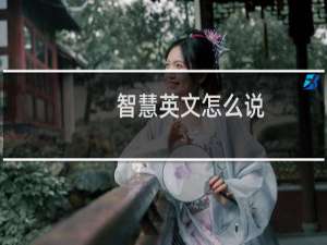 智慧英文怎么说