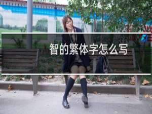 智的繁体字怎么写