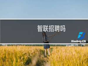智联招聘吗