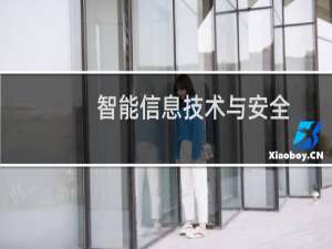 智能信息技术与安全(关于智能信息技术与安全的简介)