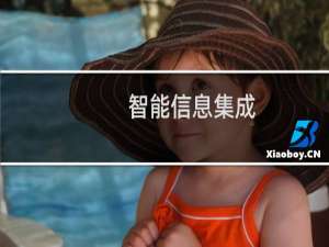 智能信息集成(关于智能信息集成的简介)