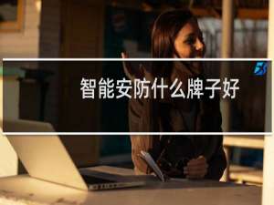 智能安防什么牌子好