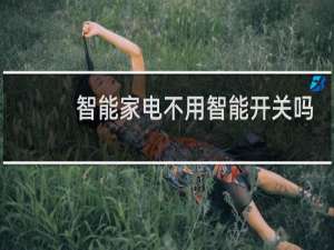 智能家电不用智能开关吗