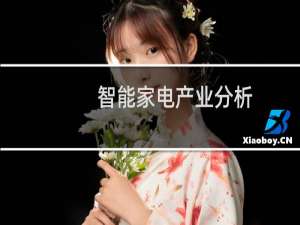 智能家电产业分析