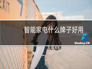 智能家电什么牌子好用