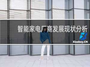智能家電廠商發展現狀分析