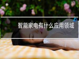 智能家電有什么應用領域