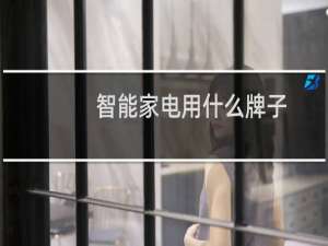 智能家電用什么牌子