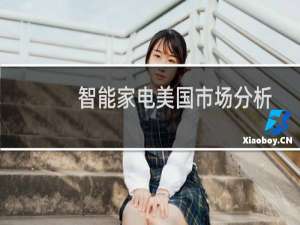 智能家电美国市场分析