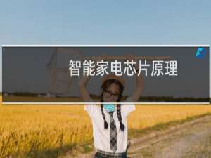 智能家电芯片原理