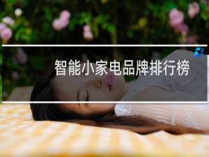 智能小家电品牌排行榜