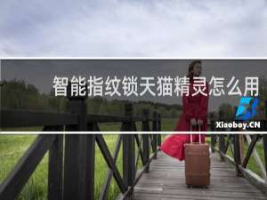 智能指纹锁天猫精灵怎么用