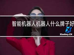 智能机器人机器人什么牌子好