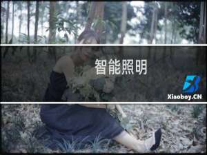 智能照明