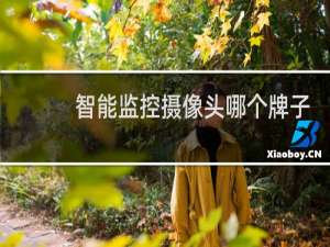 智能监控摄像头哪个牌子好