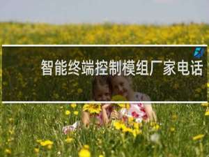 智能终端控制模组厂家电话