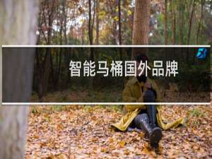 智能马桶国外品牌