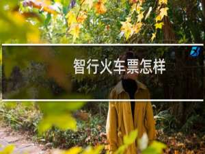 智行火车票怎样