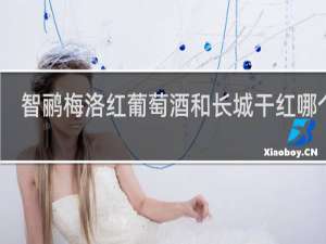 智鹂梅洛红葡萄酒和长城干红哪个好