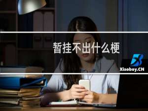 暂挂不出什么梗