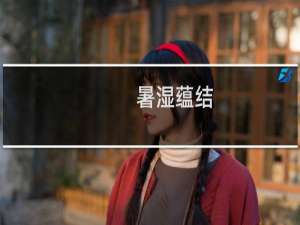 暑湿蕴结(关于暑湿蕴结的简介)