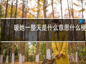 暖她一整天是什么意思什么梗