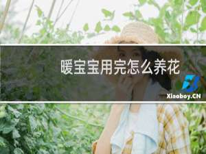 暖宝宝用完怎么养花（暖宝宝用完怎么处理）