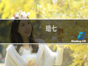 暗七(关于暗七的简介)