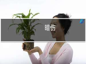 暗伤(关于暗伤的简介)