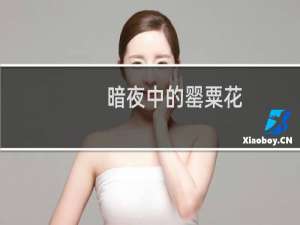 暗夜中的罂粟花（我是暗夜中的罂粟）