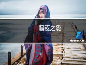 暗夜之怨(关于暗夜之怨的简介)