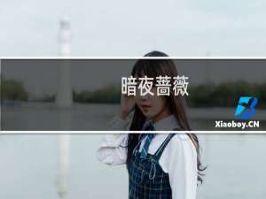 暗夜蔷薇(关于暗夜蔷薇的简介)